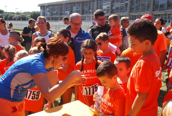 Trofeo Arancini Podistica Solidarietà (28/09/2014) 00037