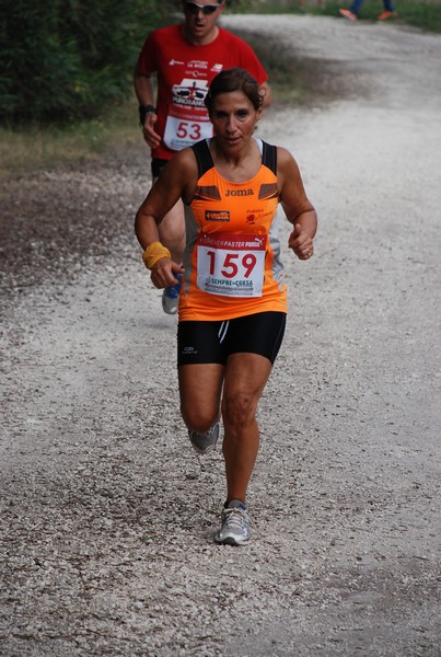 Sulle Orme di Adriano (12/10/2014) 00006