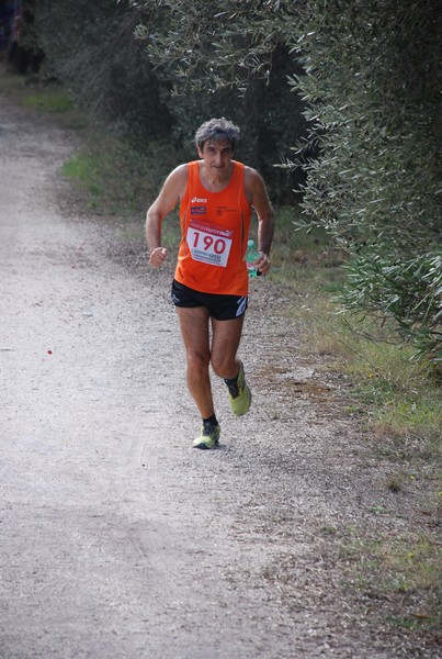 Sulle Orme di Adriano (12/10/2014) 00169
