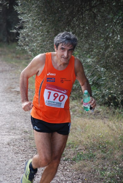Sulle Orme di Adriano (12/10/2014) 00174