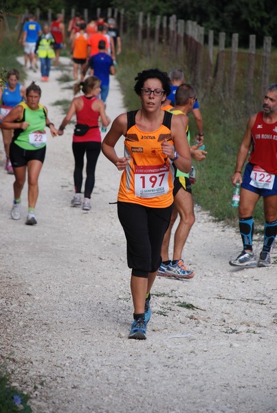 Sulle Orme di Adriano (12/10/2014) 00178