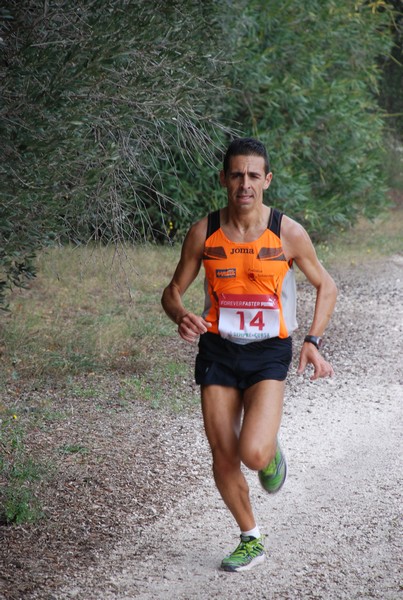 Sulle Orme di Adriano (12/10/2014) 00005