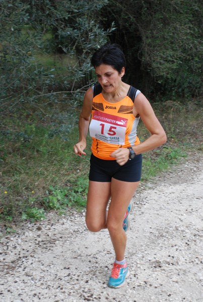 Sulle Orme di Adriano (12/10/2014) 00074