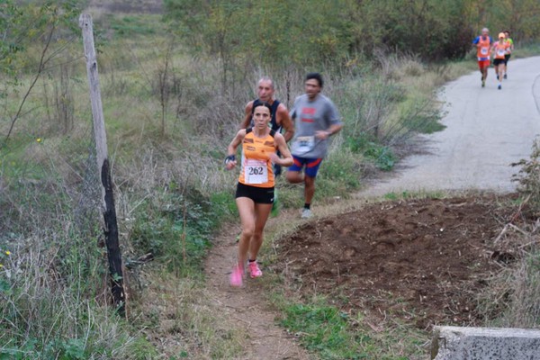 Maratonina di S.Alberto Magno (15/11/2014) 010