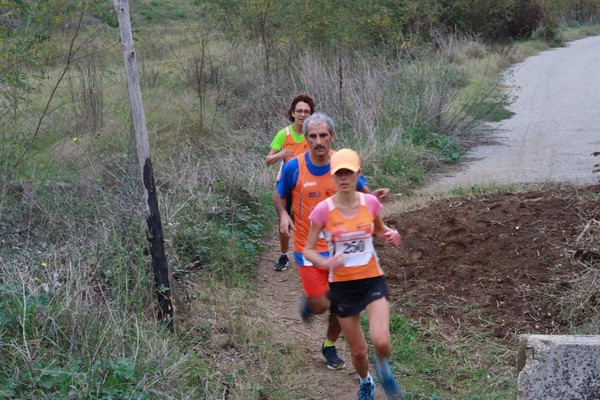 Maratonina di S.Alberto Magno (15/11/2014) 011