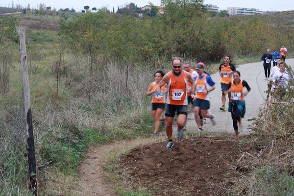 Maratonina di S.Alberto Magno (15/11/2014) 019