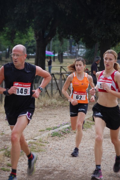 Solstizio d'estate (18/06/2014) 00002