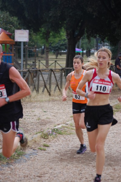 Solstizio d'estate (18/06/2014) 00003
