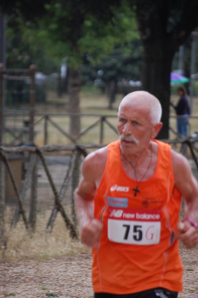 Solstizio d'estate (18/06/2014) 00016