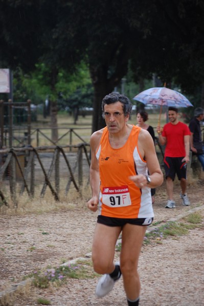 Solstizio d'estate (18/06/2014) 00042