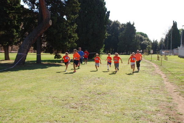 Trofeo Arancini Podistica Solidarietà (28/09/2014) 00001
