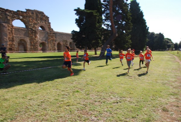 Trofeo Arancini Podistica Solidarietà (28/09/2014) 00004