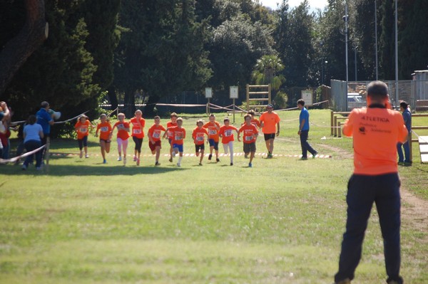 Trofeo Arancini Podistica Solidarietà (28/09/2014) 00040