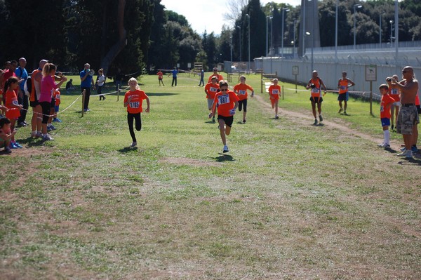 Trofeo Arancini Podistica Solidarietà (28/09/2014) 00050