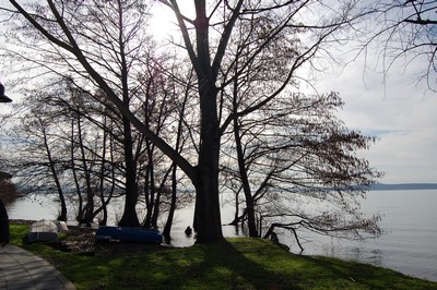 Giro del Lago di Bracciano (16/02/2014) 027