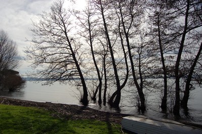 Giro del Lago di Bracciano (16/02/2014) 028