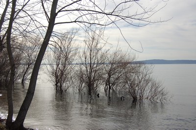 Giro del Lago di Bracciano (16/02/2014) 029