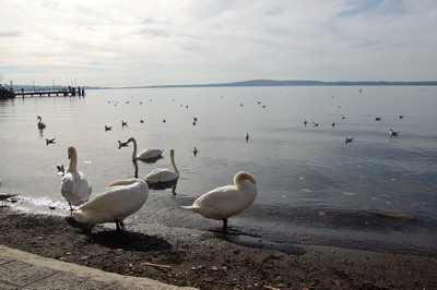 Giro del Lago di Bracciano (16/02/2014) 037