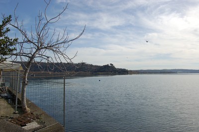 Giro del Lago di Bracciano (16/02/2014) 041