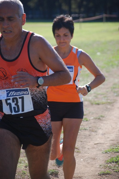 Trofeo Podistica Solidarietà (28/09/2014) 00012