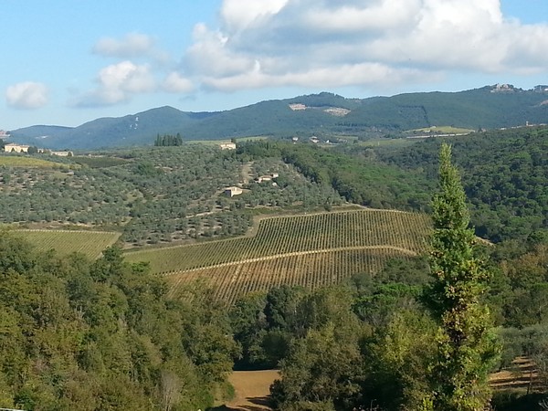 Ecomaratona del Chianti  (19/10/2014) 012