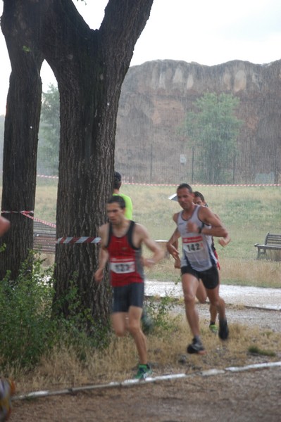 Solstizio d'estate (18/06/2014) 00003
