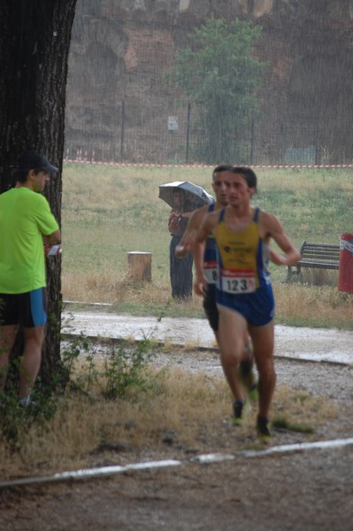 Solstizio d'estate (18/06/2014) 00007
