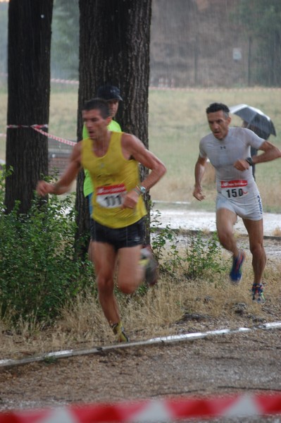 Solstizio d'estate (18/06/2014) 00010