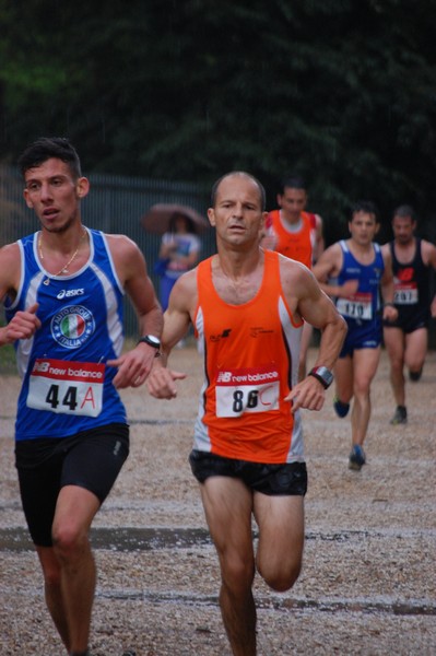 Solstizio d'estate (18/06/2014) 00074
