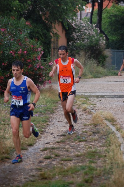 Solstizio d'estate (18/06/2014) 00082