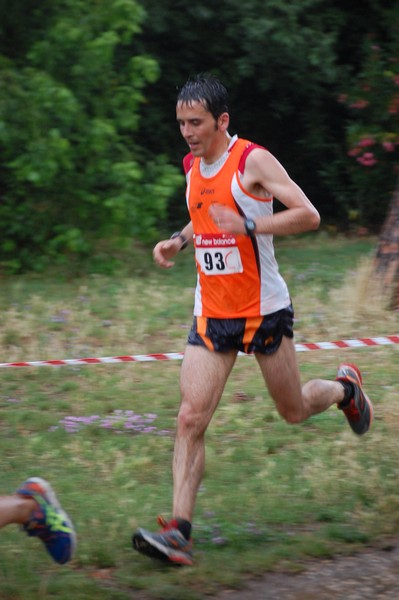 Solstizio d'estate (18/06/2014) 00085