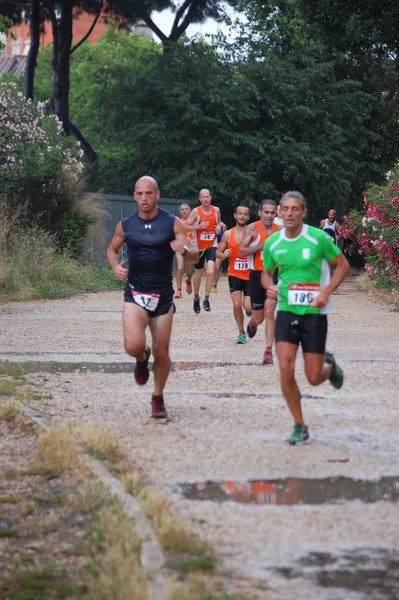Solstizio d'estate (18/06/2014) 00088