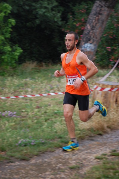 Solstizio d'estate (18/06/2014) 00099