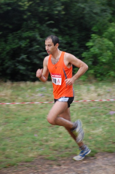 Solstizio d'estate (18/06/2014) 00106