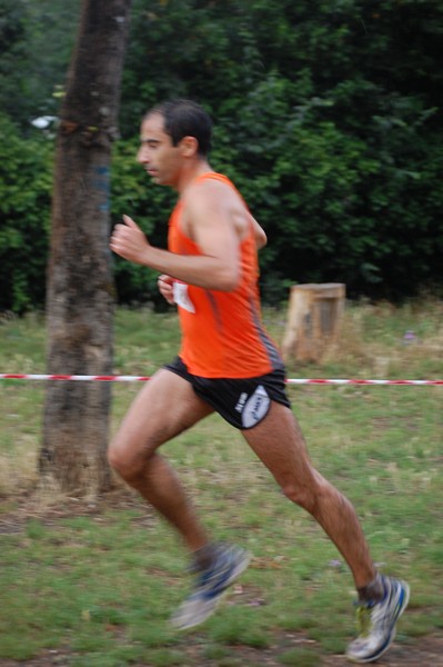 Solstizio d'estate (18/06/2014) 00107