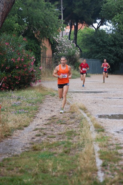 Solstizio d'estate (18/06/2014) 00108