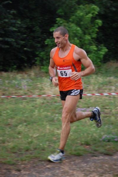 Solstizio d'estate (18/06/2014) 00113