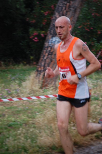Solstizio d'estate (18/06/2014) 00143