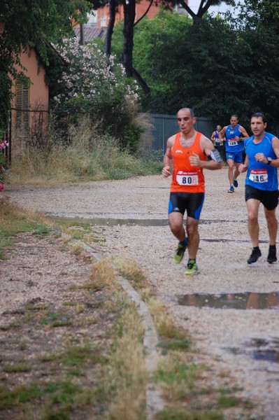 Solstizio d'estate (18/06/2014) 00151