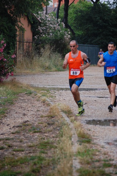 Solstizio d'estate (18/06/2014) 00152