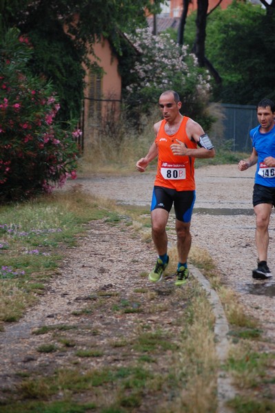 Solstizio d'estate (18/06/2014) 00153