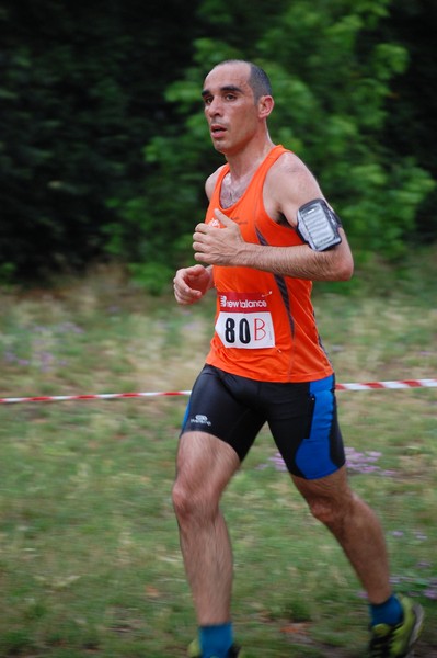 Solstizio d'estate (18/06/2014) 00157