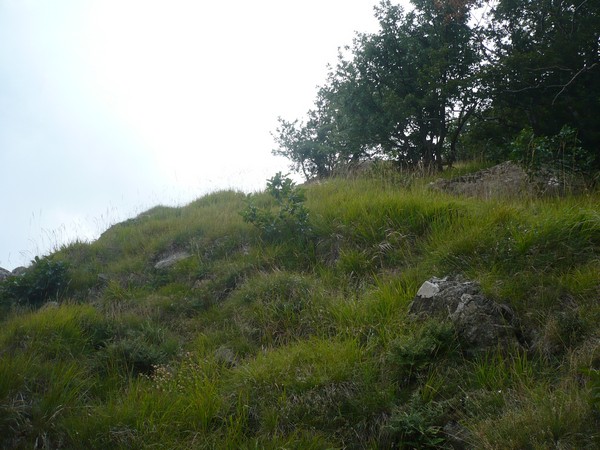 Ecomaratona della Val D'Arda (15/08/2014) 015
