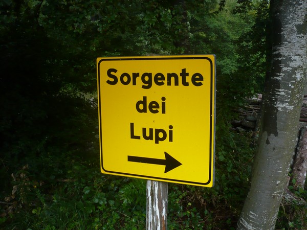 Ecomaratona della Val D'Arda (15/08/2014) 030
