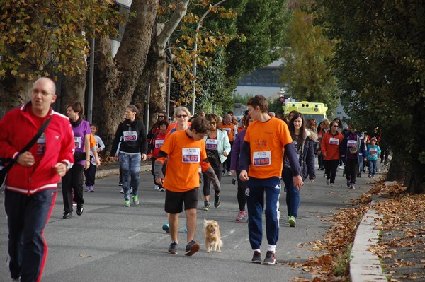 Run for Autism (30/11/2014) 00230