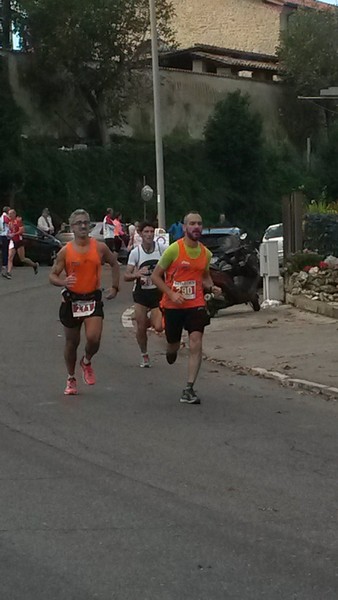 Half Marathon delle Terre Pontine (16/11/2014) 00010