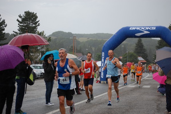 La Speata (C.E., T.S., T.O) (03/08/2014) 00079