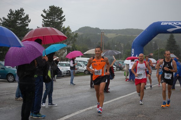 La Speata (C.E., T.S., T.O) (03/08/2014) 00095