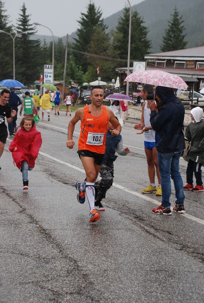 La Speata (C.E., T.S., T.O) (03/08/2014) 00073