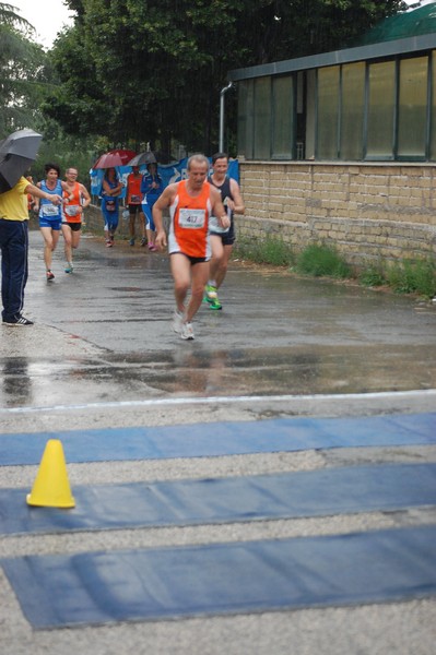 Maratonina di Villa Adriana (15/06/2014) 00067